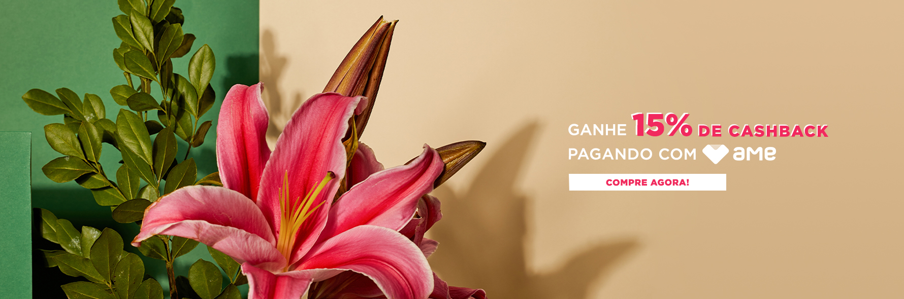 banner footer 15 ame