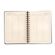 Agenda-Planner-Wire-o-2024-Joia-Natural-Diaria-A5-Insecta-Noite_1--5-